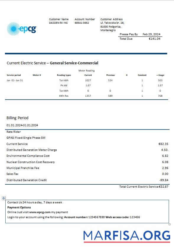 Realistic Montenegro Elektroprivreda Crne Gore (EPCG) electricity business utility bill template in Word and PDF formats